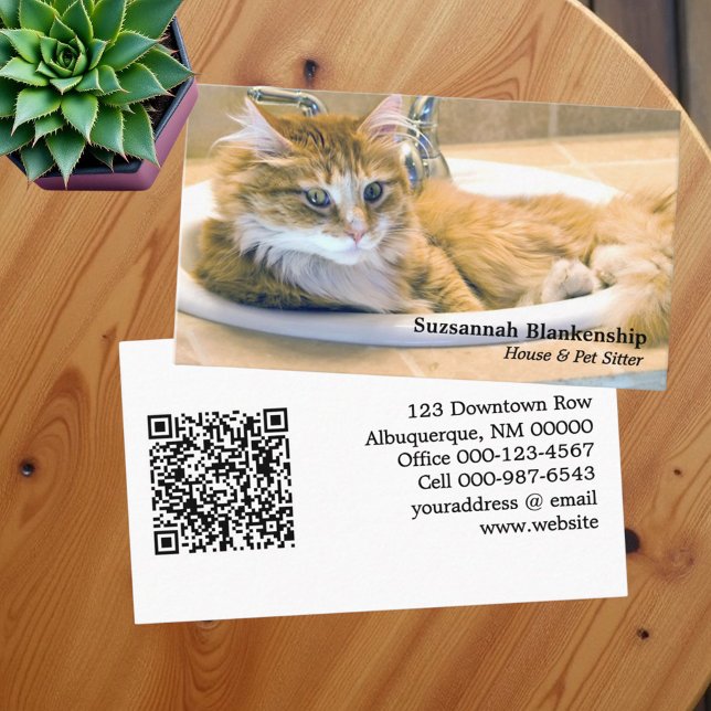 Tarjeta De Visita Gato divertido reemplazable en la fotografía rosad (Business card template with replaceable front photo and QR code on back)