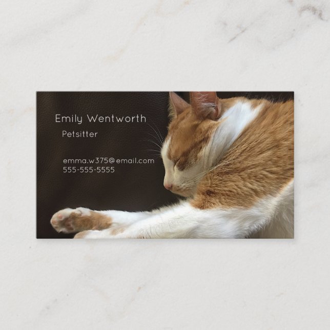 Tarjeta De Visita Gato durmiendo en sofá (Anverso)
