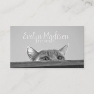 Tarjeta De Visita Gato espía