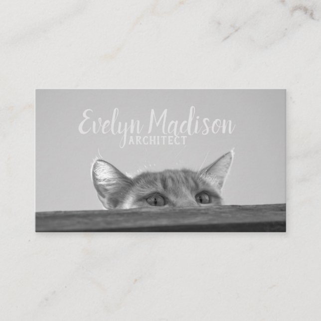 Tarjeta De Visita Gato espía (Anverso)