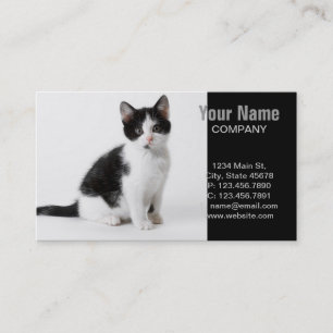 Tarjeta De Visita Gato gracioso gatito negro y blanco