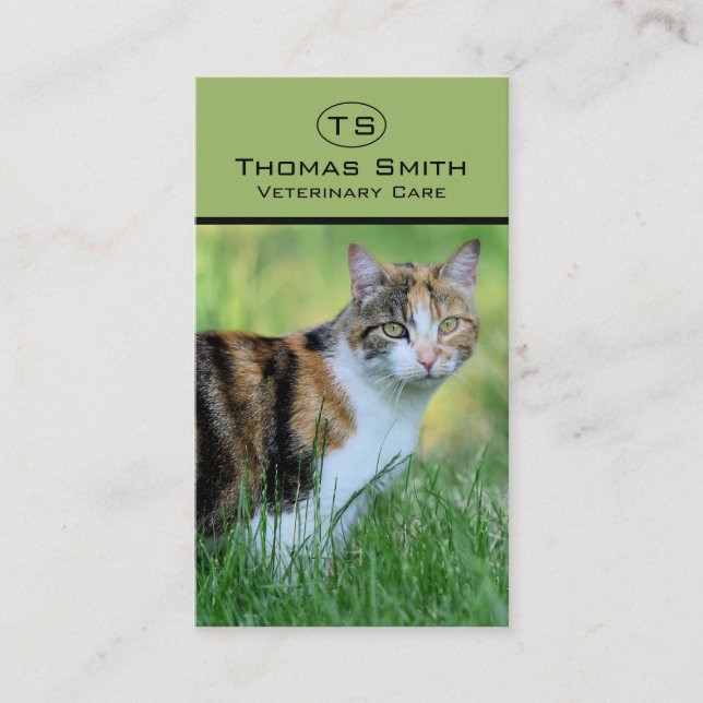 Tarjeta De Visita Gato marrón y blanco (Anverso)