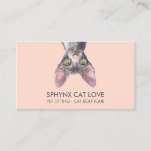 Tarjeta De Visita Gato Sphynx Rosa Naranja