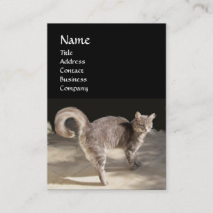 TARJETA DE VISITA GATO TURCO