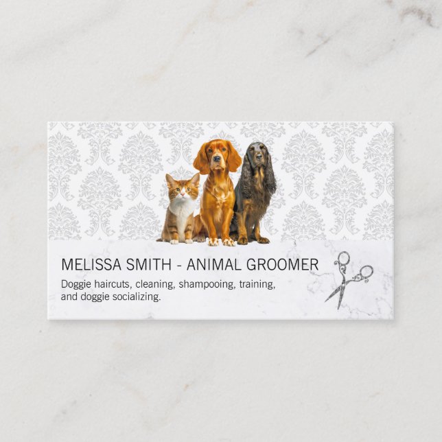 Tarjeta De Visita Gato y perros | Patrón de Damasco (Anverso)