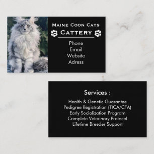 Tarjeta De Visita Gatópolis Maine Coon & Criador Profesional Negro