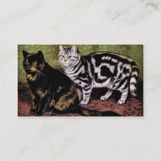 Tarjeta De Visita Gatos de Tabby de la concha y de la plata