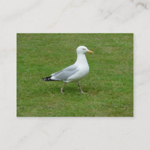 Tarjeta De Visita Gaviota caminando por el parque