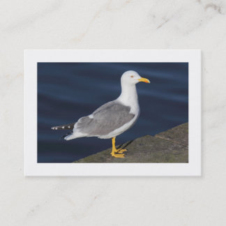 Tarjeta De Visita Gaviota De Piernas Amarillas (Bordeada)