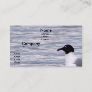 Tarjeta De Visita Gaviota de risa