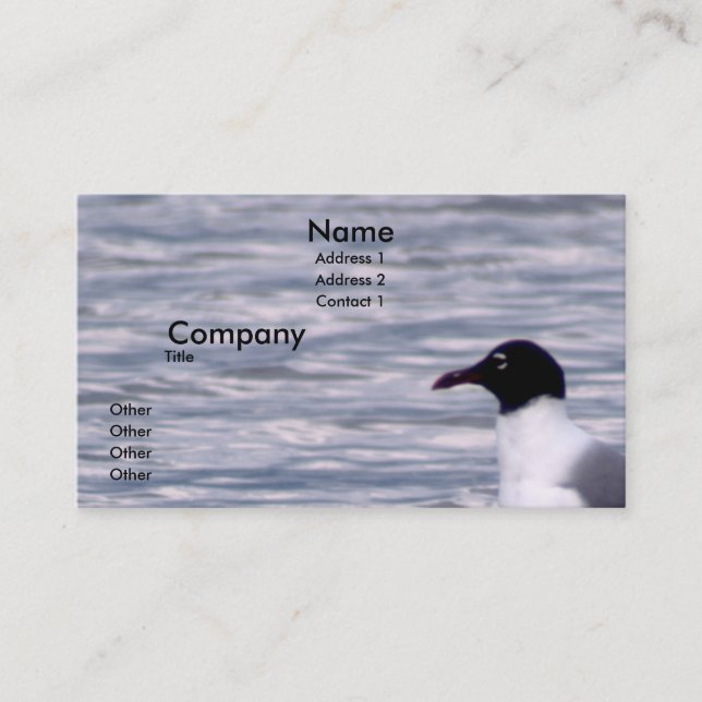 Tarjeta De Visita Gaviota de risa (Anverso)