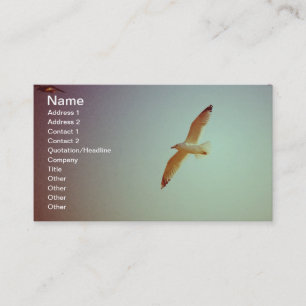 Tarjeta De Visita Gaviota retra