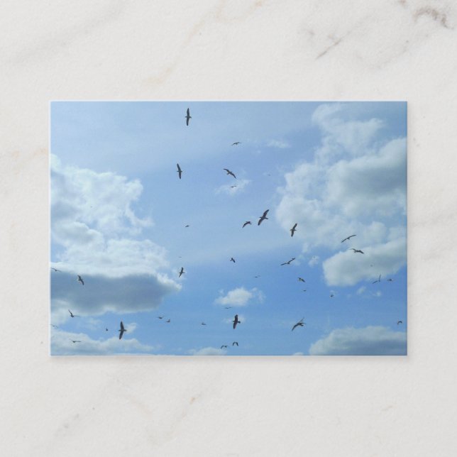 Tarjeta De Visita Gaviotas (Anverso)