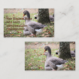 Tarjeta De Visita Geese