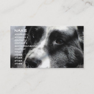 Tarjeta De Visita Georgia 5 de abril de 2009 012, nombre, dirección