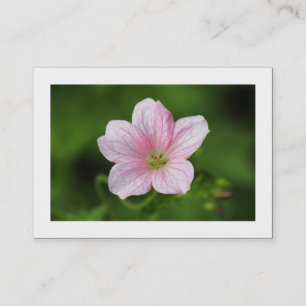 Tarjeta De Visita Geranio (bordeado)