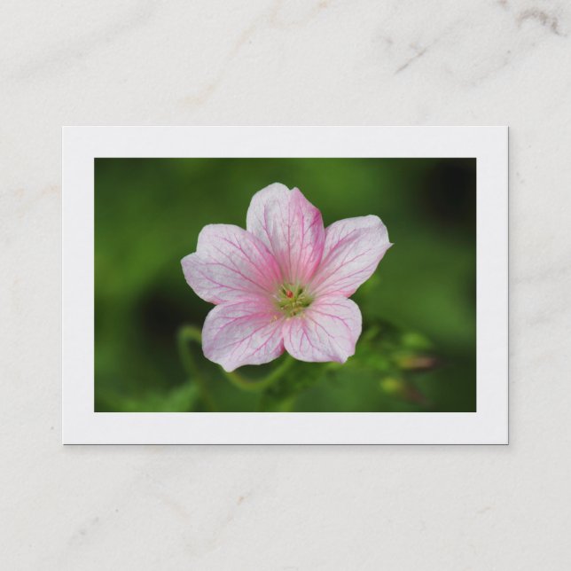 Tarjeta De Visita Geranio (bordeado) (Anverso)