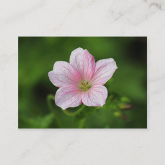 Tarjeta De Visita Geranium
