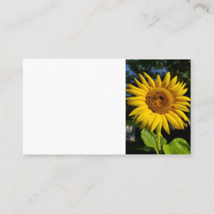 Tarjeta De Visita Girasol