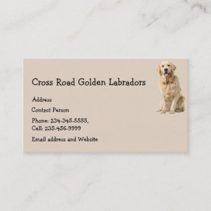 Tarjeta De Visita Golden Labrador Dog Mascota Animal Business Card M