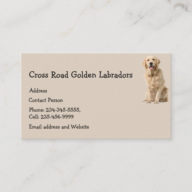Tarjeta De Visita Golden Labrador Dog Mascota Animal Business Card M (Anverso)