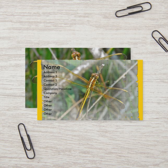 Tarjeta de visita Golden Meadowhawk Dragonfly (Anverso/Reverso In Situ)