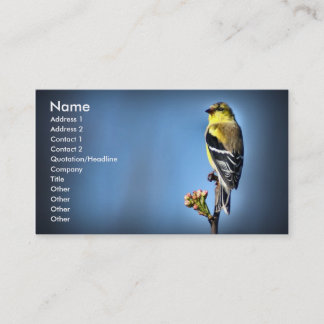 Tarjeta De Visita Goldfinch americano