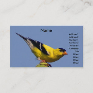 Tarjeta De Visita Goldfinch americano