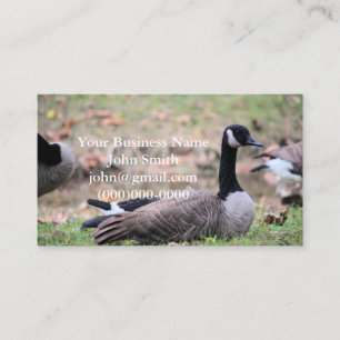 Tarjeta De Visita Goose