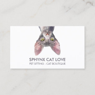 Tarjeta De Visita Gracioso Gato Sfinx Blanco