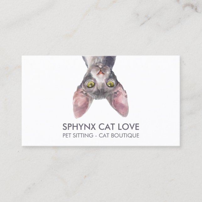 Tarjeta De Visita Gracioso Gato Sfinx Blanco (Anverso)