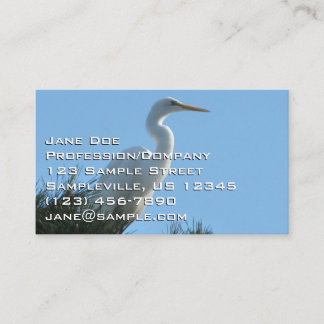 Tarjeta De Visita Gran Egret en la soleada Florida