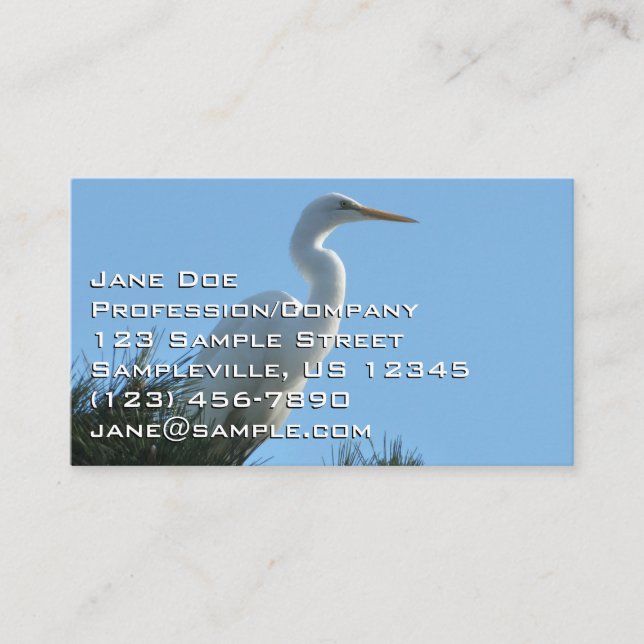 Tarjeta De Visita Gran Egret en la soleada Florida (Anverso)