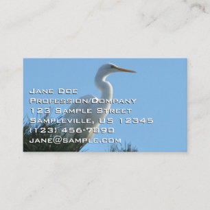 Tarjeta De Visita Gran Garza en Florida Soleada
