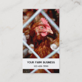 Tarjeta De Visita Granja de campo de pollo Hen