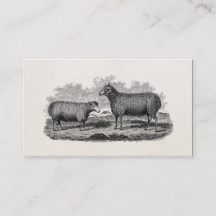 Tarjeta De Visita Granja retra del ilustracion de la oveja de las