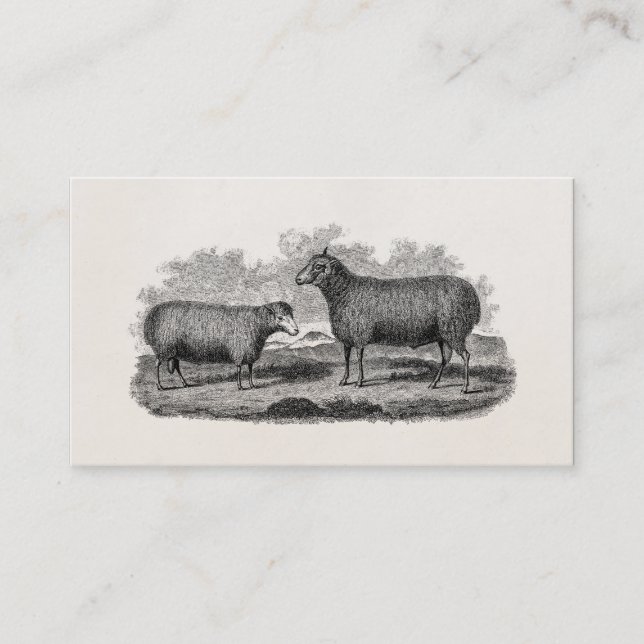 Tarjeta De Visita Granja retra del ilustracion de la oveja de las (Anverso)