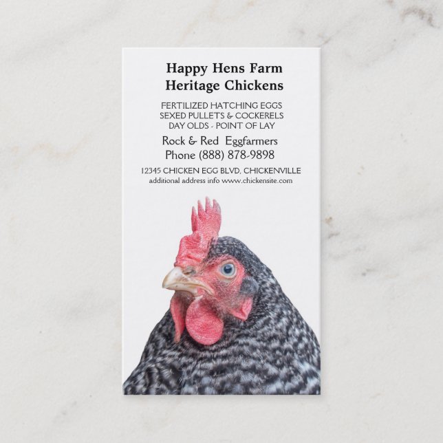 Tarjeta De Visita Granjero barrado del huevo del pollo de la roca (Anverso)