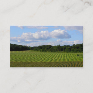 Tarjeta De Visita Granjero rayado de la tierra del campo de granja