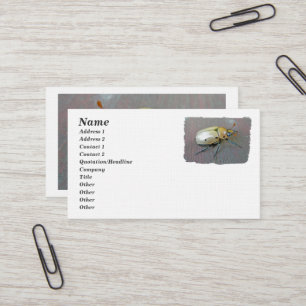 Tarjeta De Visita Grapevine Beetle (Pelidnota punctata)
