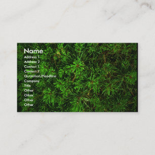 Tarjeta De Visita green_card