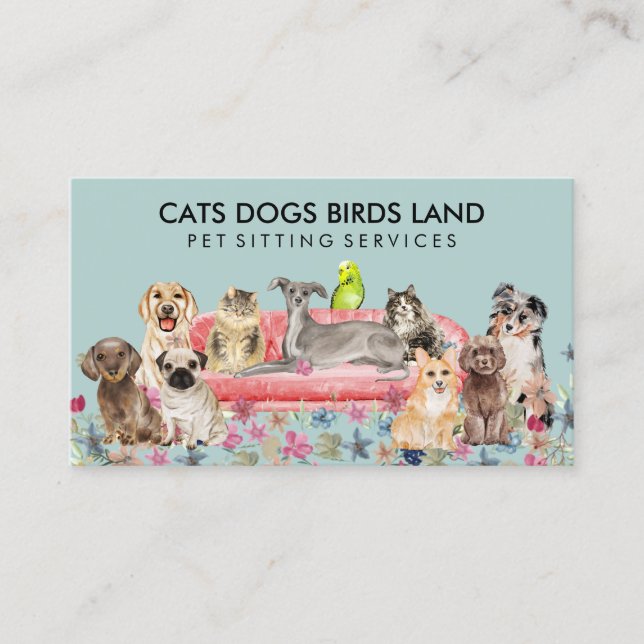 Tarjeta De Visita Green Soft Dog Cat Bird Hotel Sofa Mascota Sitting (Anverso)