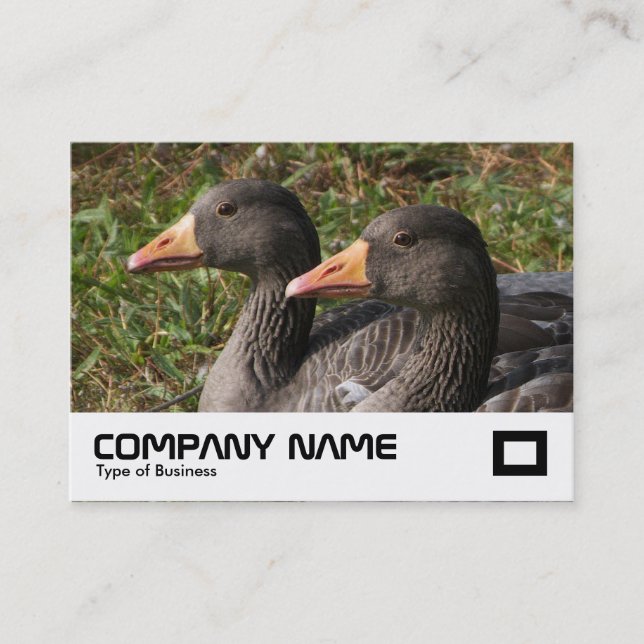 Tarjeta De Visita Greylag Geese (Anverso)