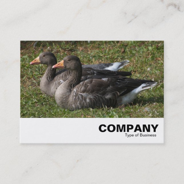 Tarjeta De Visita Greylag Geese (Anverso)