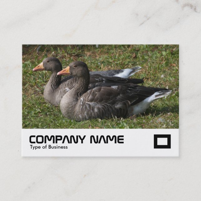 Tarjeta De Visita Greylag Geese (Anverso)