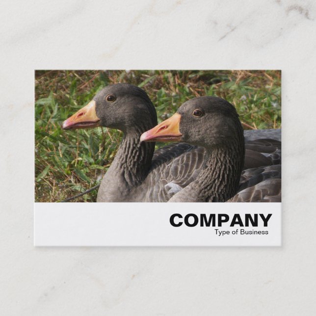 Tarjeta De Visita Greylag Geese (Anverso)