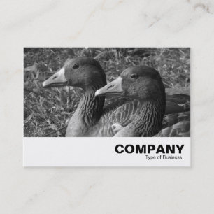 Tarjeta De Visita Greylag Geese B&W