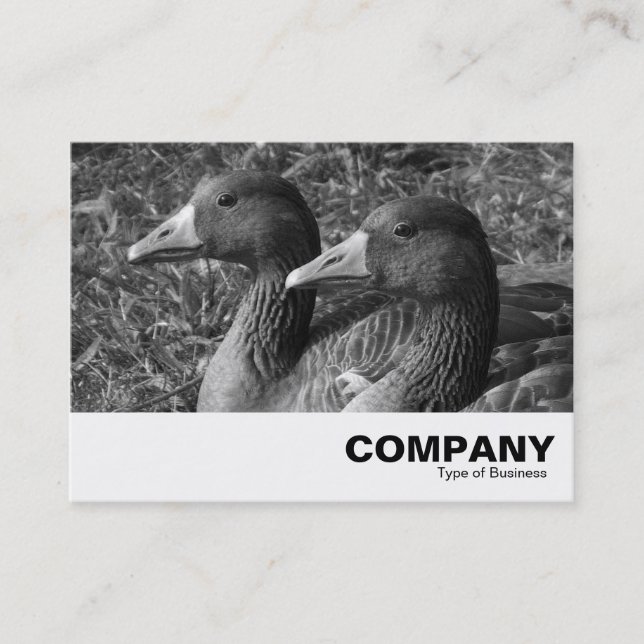 Tarjeta De Visita Greylag Geese B&W (Anverso)