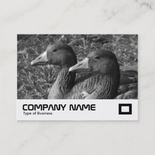Tarjeta De Visita Greylag Geese B&W