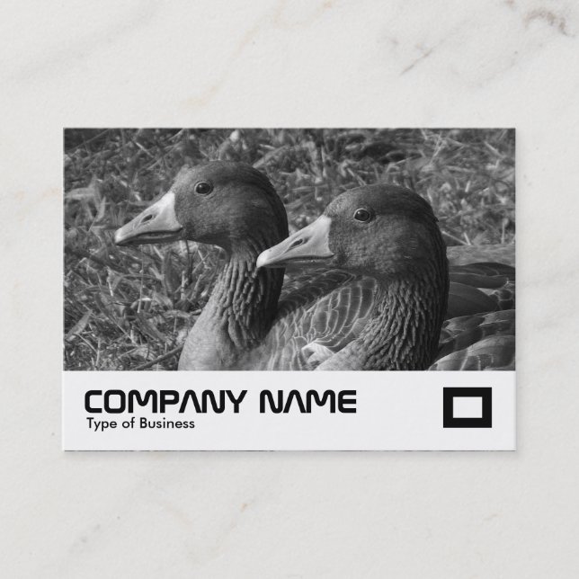 Tarjeta De Visita Greylag Geese B&W (Anverso)
